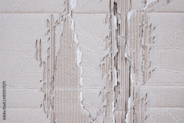 Obraz Torn Rip Corrugated Cardboard Paper Texture Effect Background.