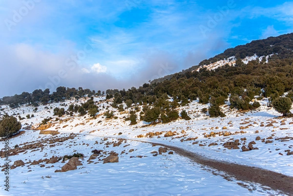 Obraz Winter Landscape