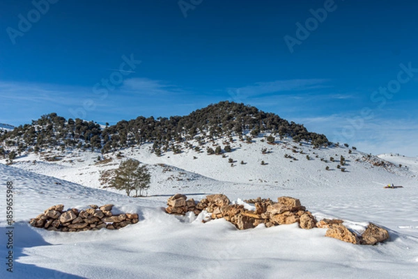 Obraz the Winter Hills