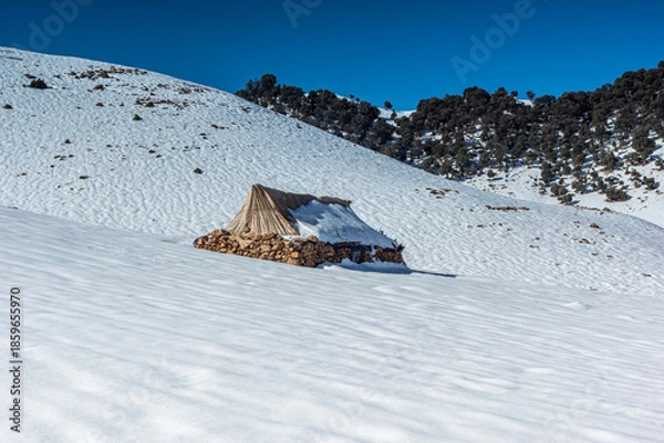 Obraz ​The Lonely Cabin