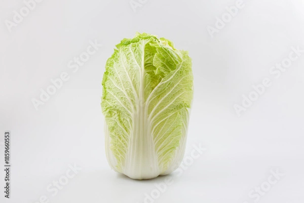 Fototapeta 白菜 生野菜 白背景