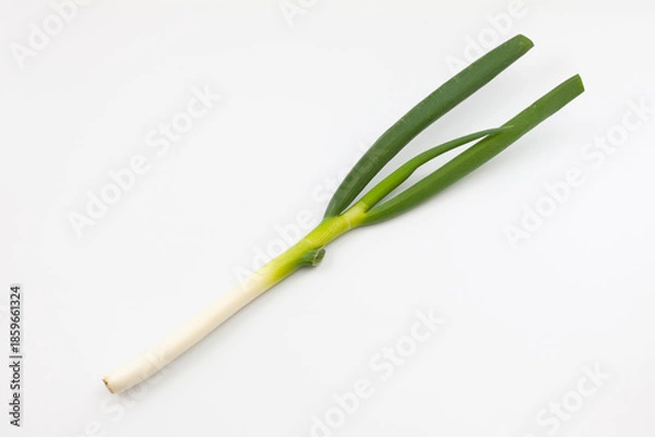 Fototapeta ネギ 生野菜 白背景