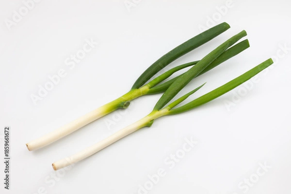 Fototapeta ネギ 生野菜 白背景