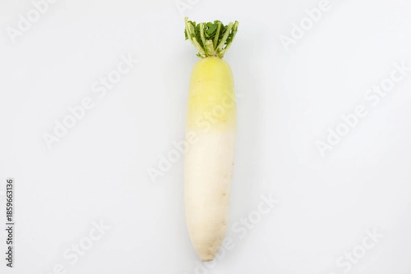 Fototapeta 大根 生野菜 白背景
