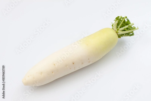 Fototapeta 大根 生野菜 白背景