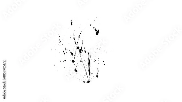 Obraz Intense Black Splatter Brush