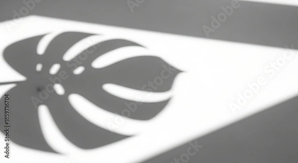 Obraz Monstera leaf shadow