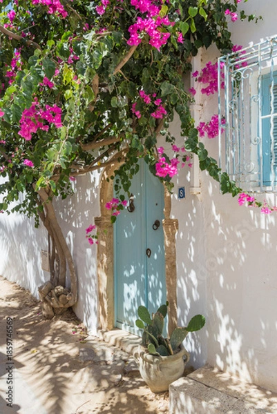 Obraz Piękna bugenwilia-Tunezja