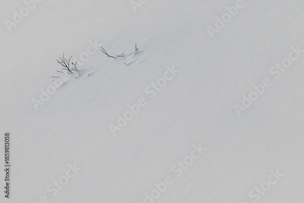 Obraz 雪に覆われた大地