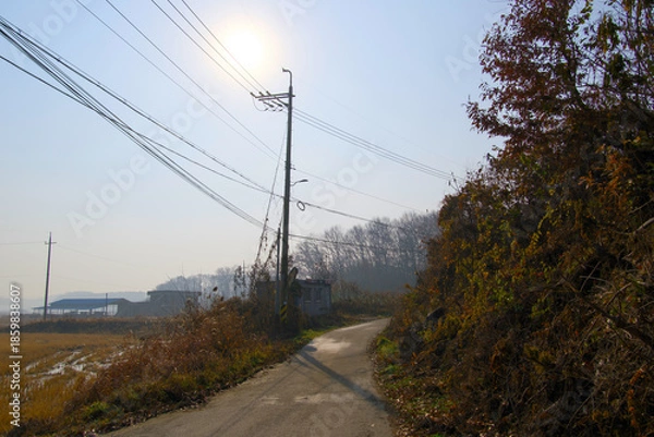 Obraz A country road heading somewhere