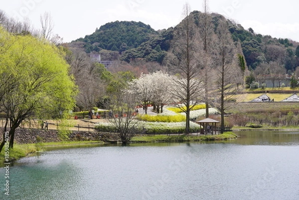 Obraz 春のぎふワールドローズガーデン