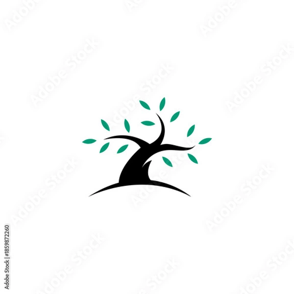Obraz bonsai tree logo with flat vector design style