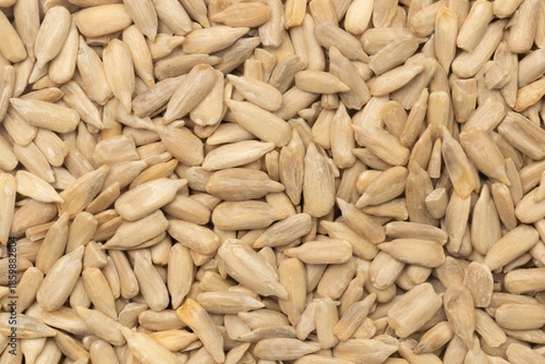 Obraz Shelled Raw Sunflower Kernels for Background. Top view