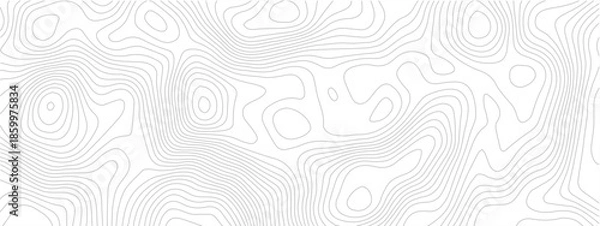 Obraz Modern Seamless Abstract Pattern with Flowing Circular Waves and Structured Geometric Lines