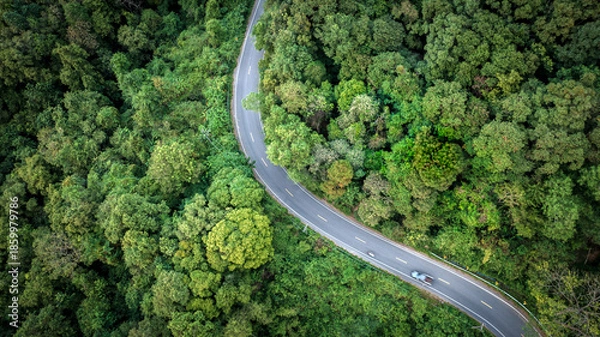 Obraz Curved Road Cutting Through Dense Green Forest Aerial Background