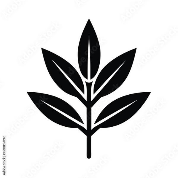 Obraz Sage Herb Bunch Icon Vector Illustration