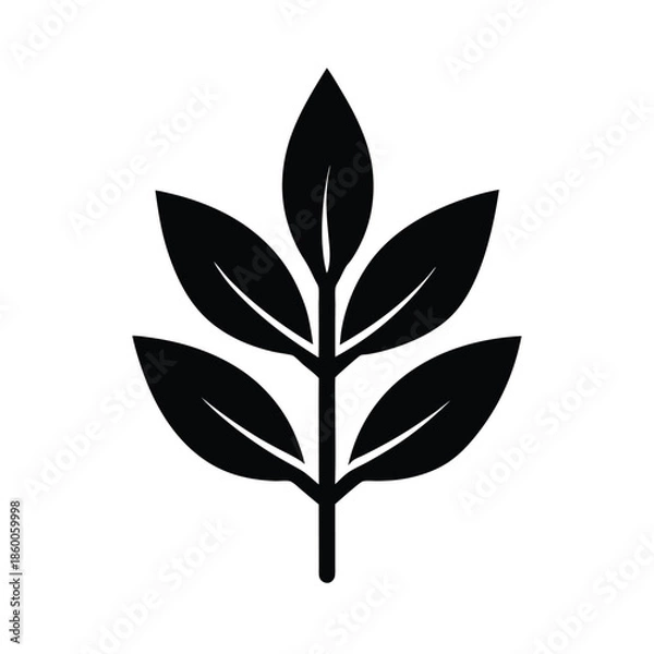 Obraz Sage Leaf Sprig Icon Vector Illustration