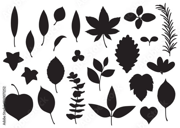 Obraz シンプルな葉っぱセット