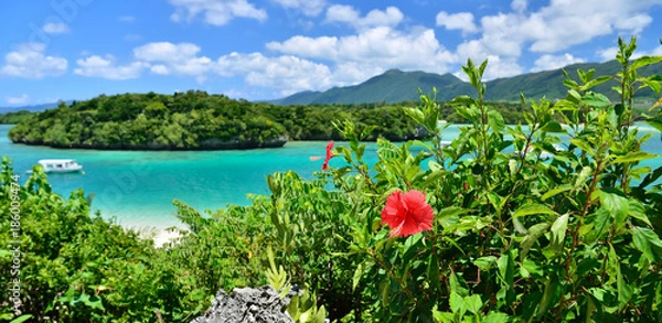 Fototapeta ハイビスカスと沖縄県石垣島　川平湾