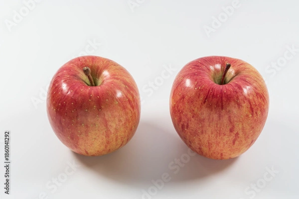 Obraz 赤い林檎の画像、サンふじ