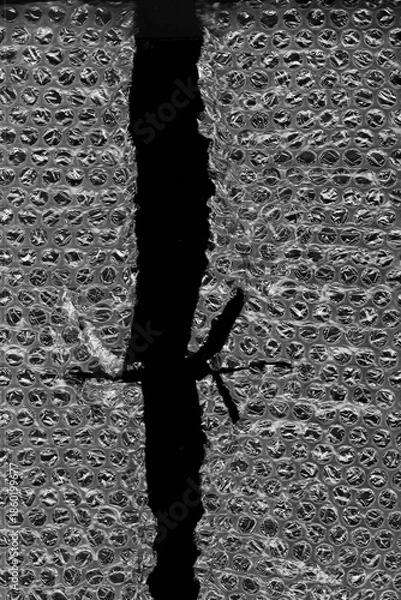 Fototapeta Plastic Bubble Wrap Texture Overlay