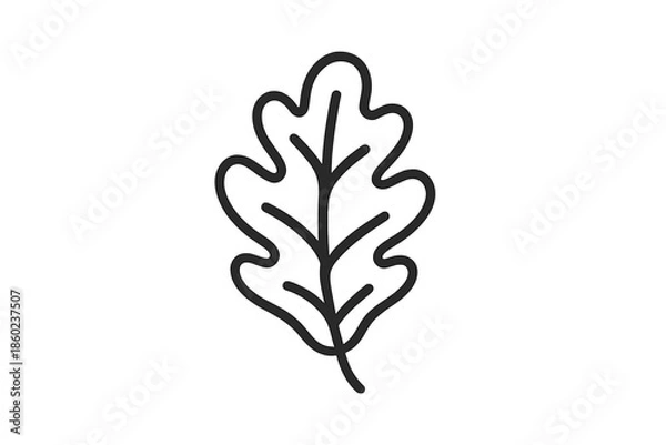 Obraz Oak leaf outline with shadow on gray gradient background