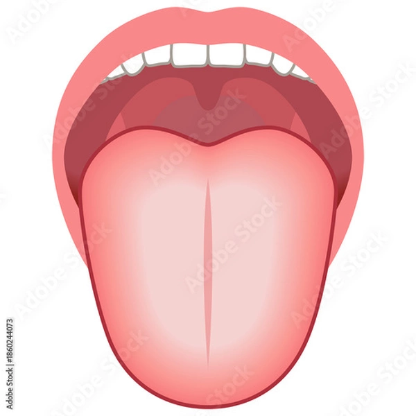 Obraz 舌苔が白い　舌でわかる健康状態　舌診　舌の健康