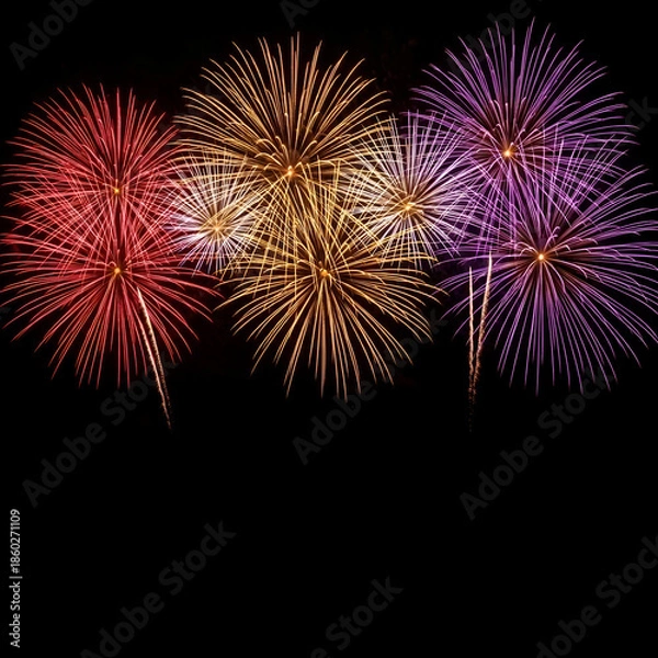 Obraz fireworks in the sky