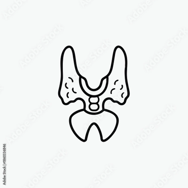 Obraz thyroid line art icon silhoutte vector template