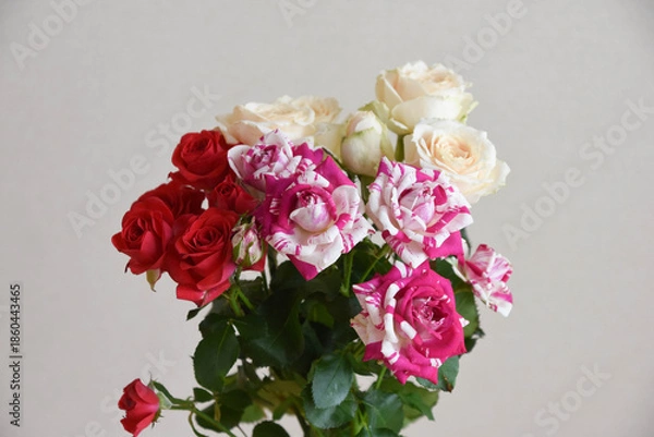 Obraz ピンクと黄色のばら