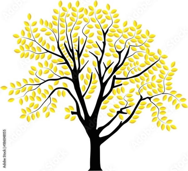 Obraz vector image of a tree in autumn