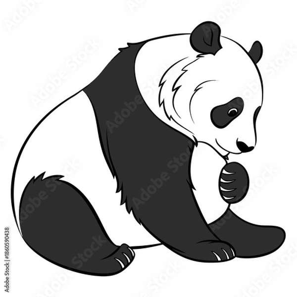 Obraz Cute Panda Bear Wildlife Vector Illustration