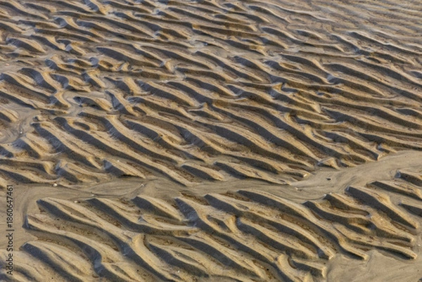 Fototapeta sand texture on beach