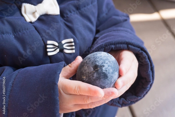 Obraz 黒卵をもつ日本人の女の子の幼児