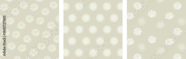 Obraz 花びらが多いモダンなデイジーの花柄模様のパターンセット