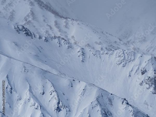 Fototapeta 冠雪した北アルプスの山並み　長野県白馬村
