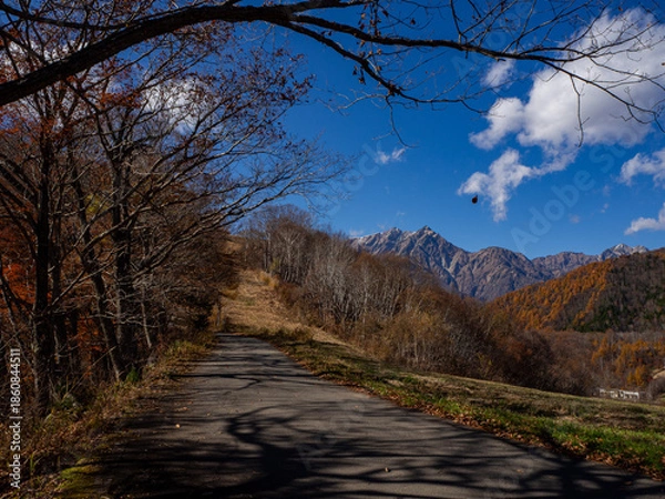 Fototapeta 紅葉した秋の山　秋景色　長野県