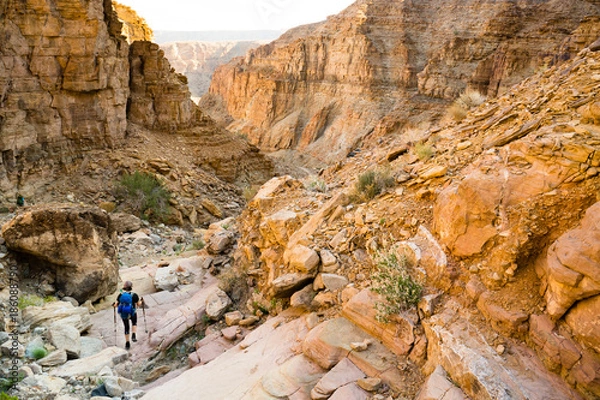 Fototapeta A single adventurous female hiker, trekking down into a steep, rocky canyon while hiking into the Fish River Canyon in Namibia