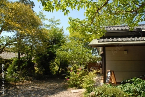 Obraz 緑に囲まれた伝統的な家の外観風景