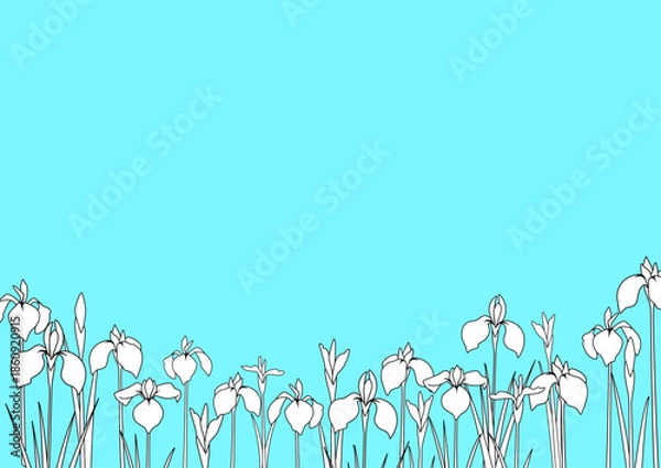 Obraz ブルーのさわやかな背景に白いアイリスが並ぶ線画フレーム　ベクターイラスト