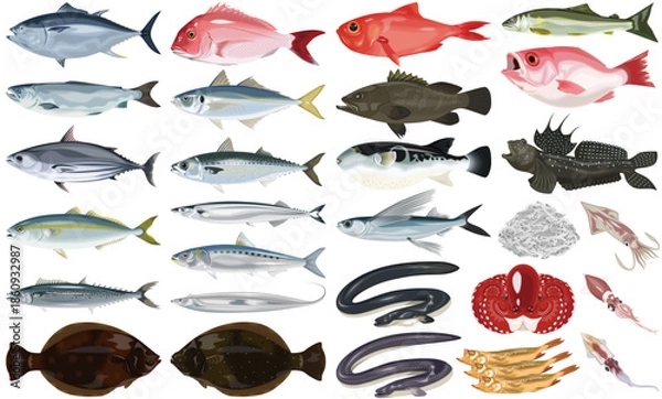 Obraz 魚介類のイラスト・アイコン②（鮪、鯛、うなぎ、鮭、ふぐ）