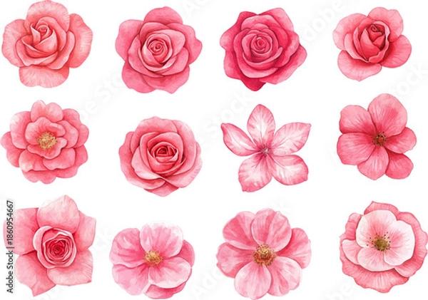 Obraz seamless pattern with pink roses