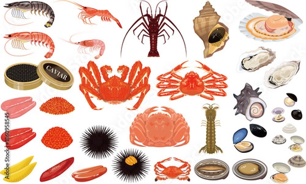 Obraz 魚介類のイラスト・アイコン③（蟹、海老、ホタテ、牡蠣、うに、いくら）