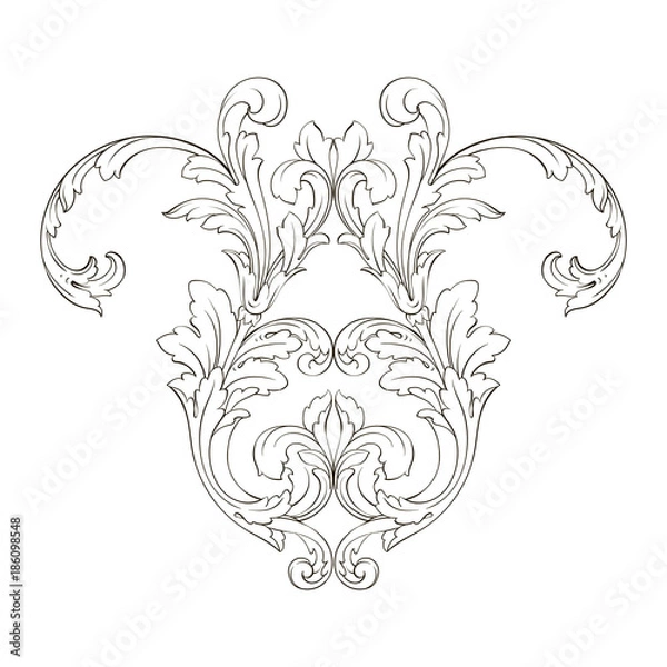 Obraz Classical baroque ornament vector 