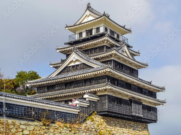 Fototapeta 【大分県】中津市・中津城