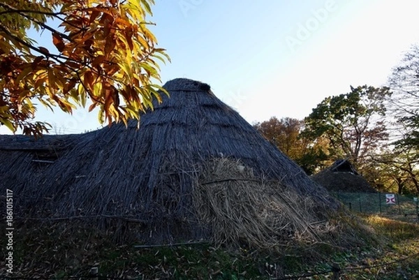 Obraz 藁葺き屋根の住居跡遺跡。tree in the mountains