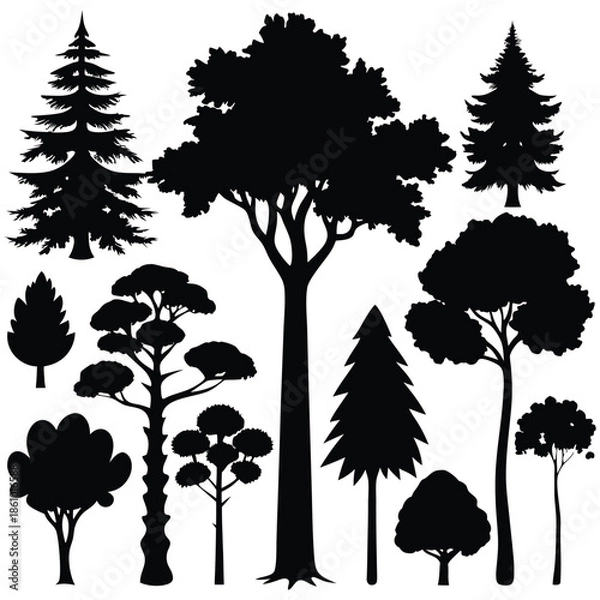 Obraz Tree Silhouette Collection Vector Set