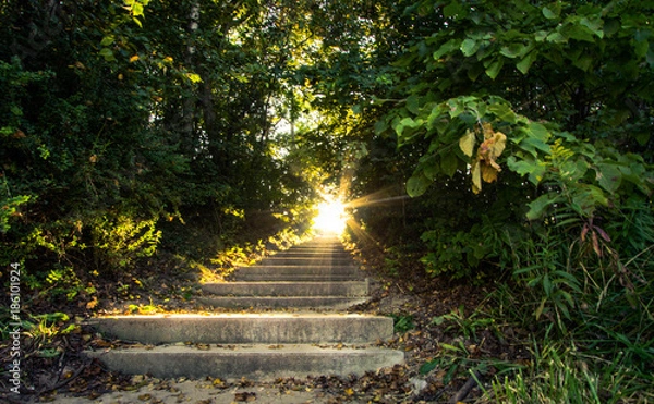 Obraz Light Of Heaven. Sunlight streams down a stairway that travels up through a scenic forest.