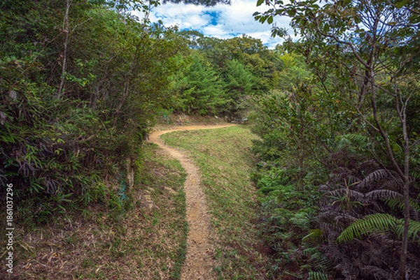 Obraz 岡山 鬼ノ城 城内の遊歩道