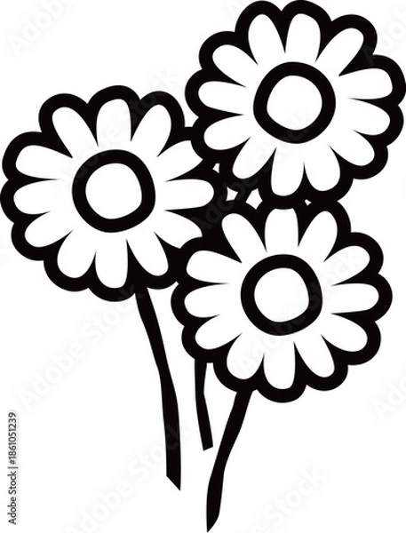Obraz 満開のデイジーの花3本のアウトライン白黒線画イラスト カモミールやハーブ系のシンプルな花のイメージ　透明背景